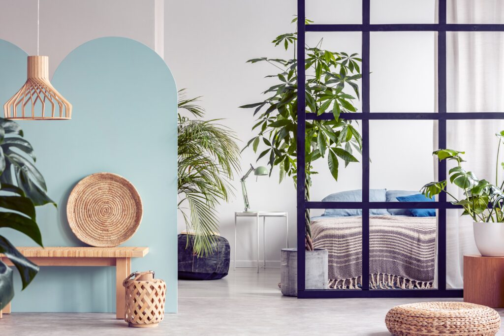 Urban jungle in bright white and blue bedroom interior with partition