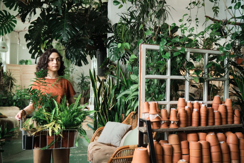 Young woman holding basket with potted plants and carrying it she working in flower shop